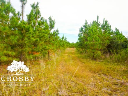 Breland Tract