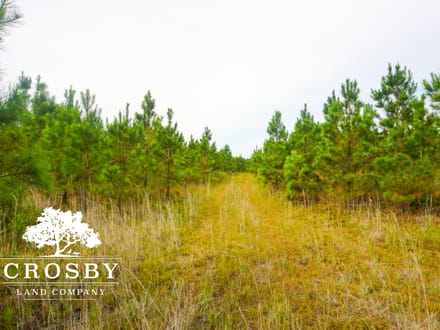 Breland Tract