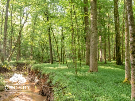 Jordan Branch