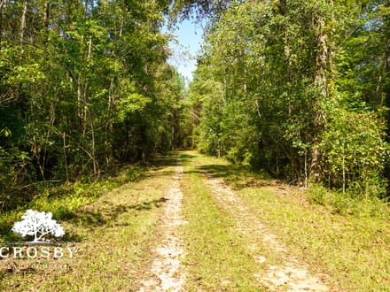 Lemon Creek