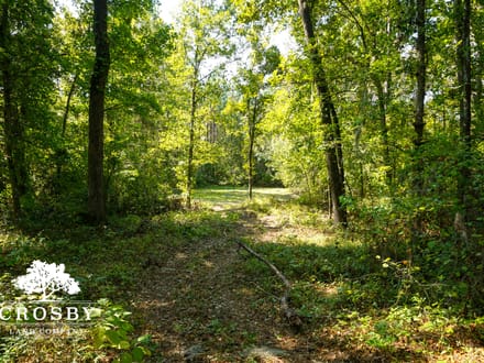 Lemon Creek