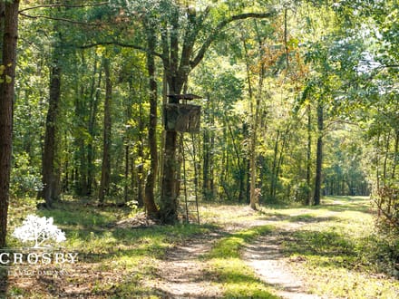 Lemon Creek