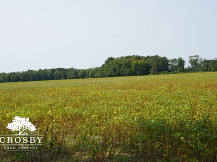 Nolan Road Farm