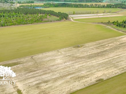 Highway 24 Turf Farm