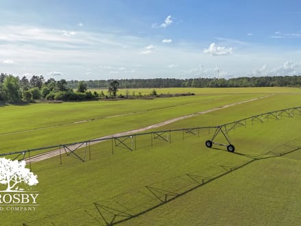 Highway 24 Turf Farm