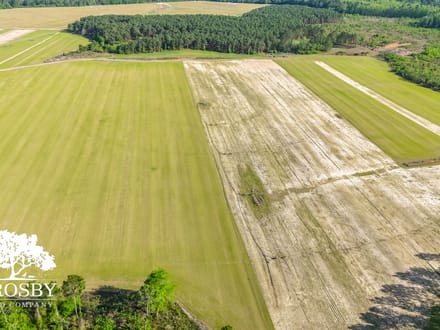 Highway 24 Turf Farm