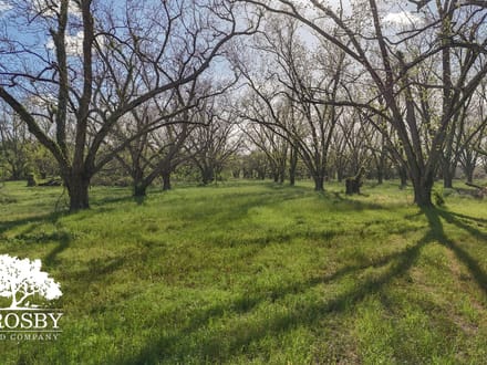 Highway 24 Turf Farm