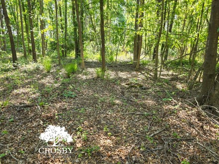 Highway 56 Farm Lot 2