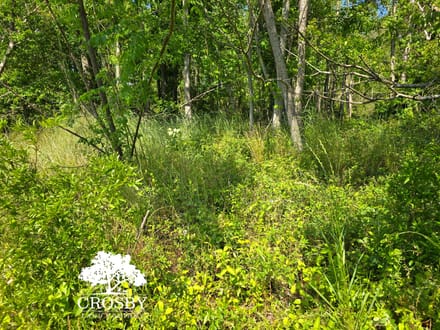 Highway 56 Farm Lot 4