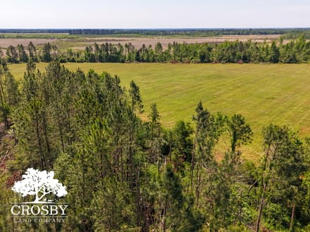 Highway 56 Farm Lot 3