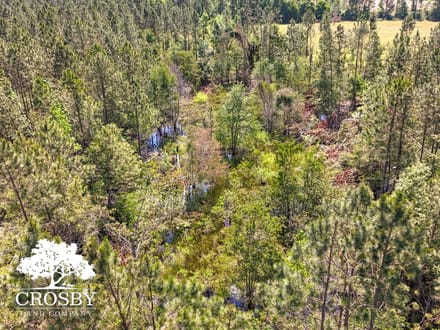 Highway 56 Farm Lot 4