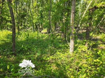 Highway 56 Farm Lot 2