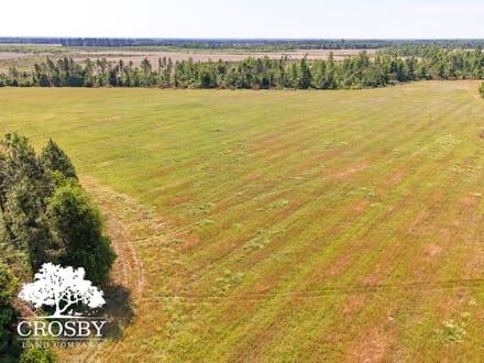 Highway 56 Farm Lot 3