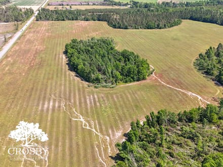 Highway 56 Farm Lot 2