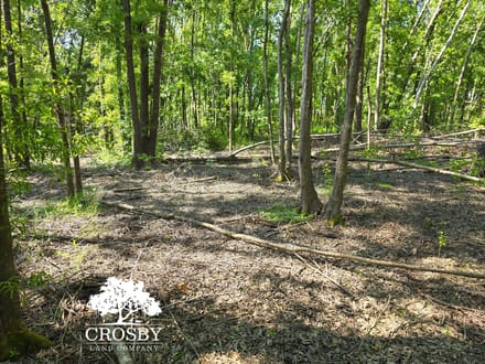 Highway 56 Farm Lot 2