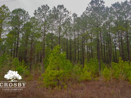 Clark Tract