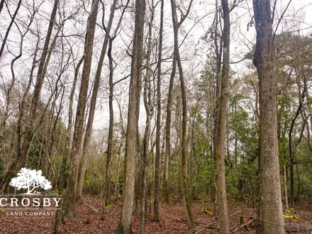 Clark Tract