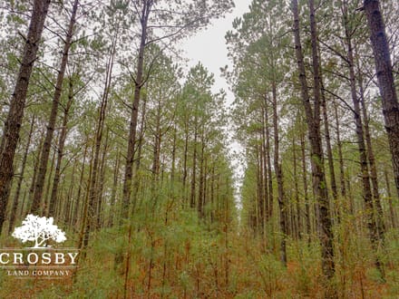 Clark Tract