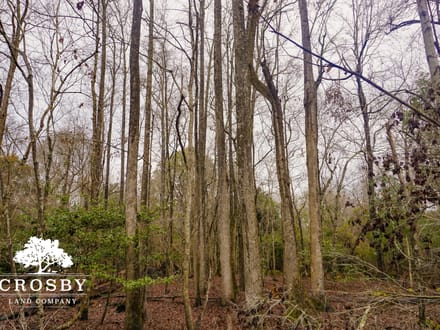 Clark Tract