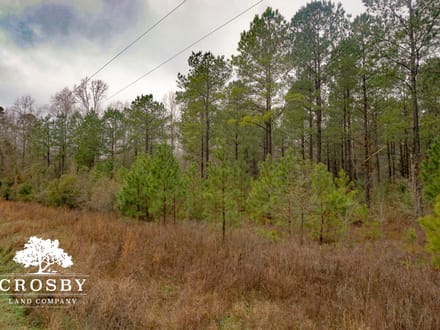 Clark Tract
