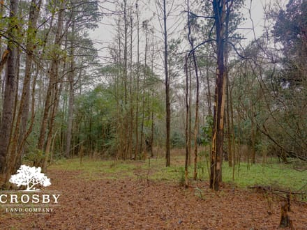 Clark Tract
