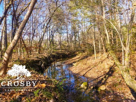 Rocky Creek