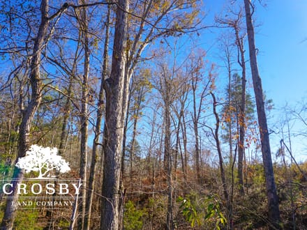 Rocky Creek