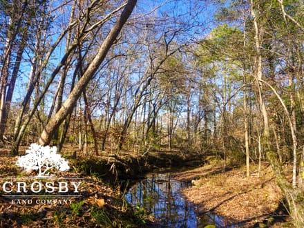 Rocky Creek
