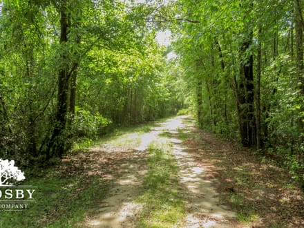 Windsor Road