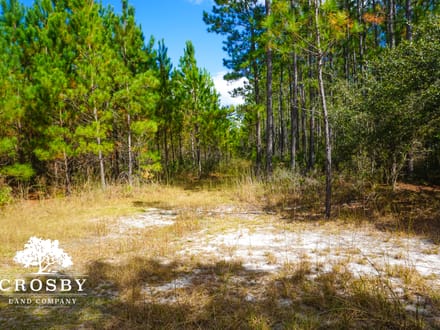 Treadwell