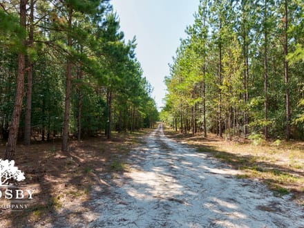 Brown Mobley Tract