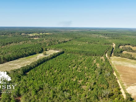 Brown Mobley Tract