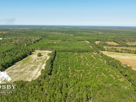 Brown Mobley Tract