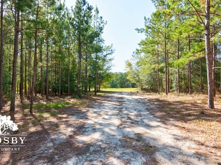 Brown Mobley Tract