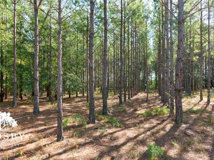 Brown Mobley Tract