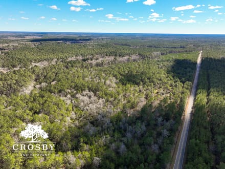 Rehoboth Road
