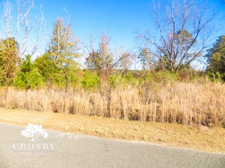 Timmons Tract