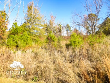 Timmons Tract