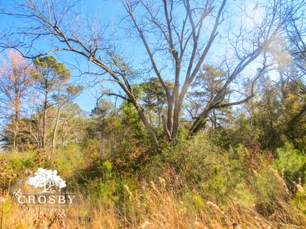 Timmons Tract