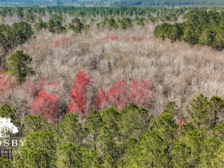 Briar Creek
