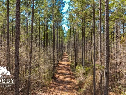 Briar Creek