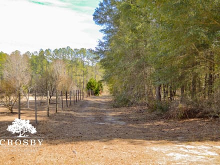 Briar Creek