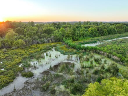 Arkansas River Bottomland