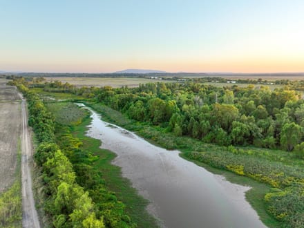 Arkansas River Bottomland