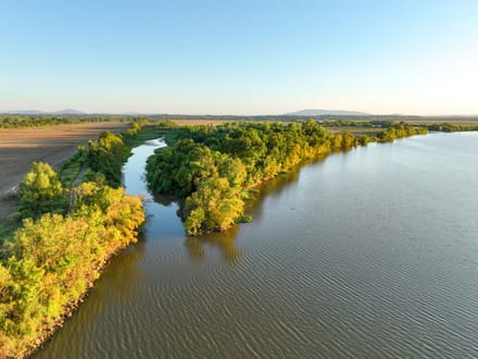 Arkansas River Bottomland