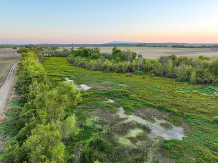 Arkansas River Bottomland