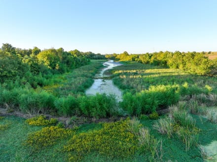 Arkansas River Bottomland