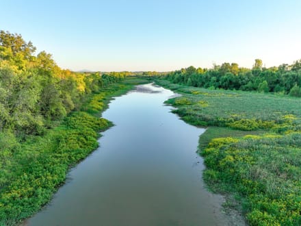 Arkansas River Bottomland