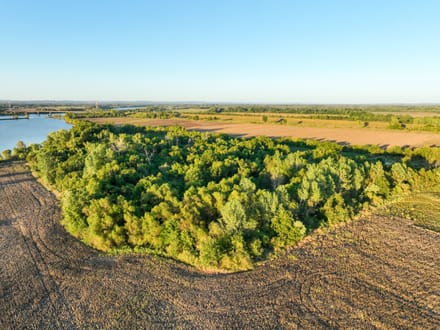 Arkansas River Bottomland