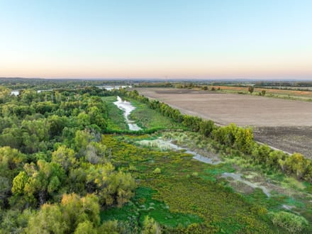 Arkansas River Bottomland